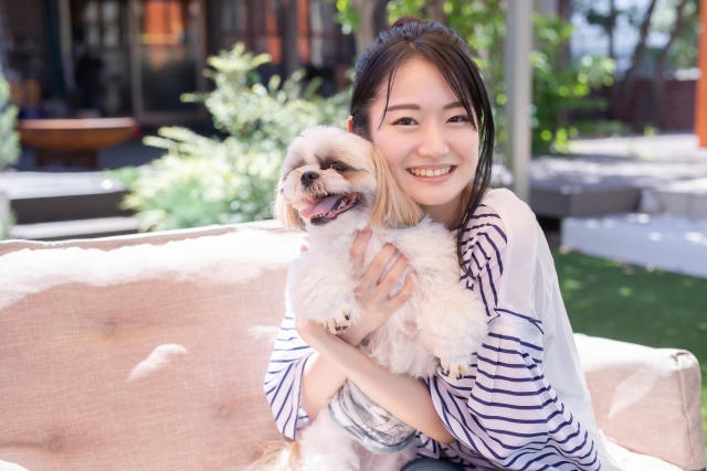 舘山寺の犬と泊まれるホテル・宿