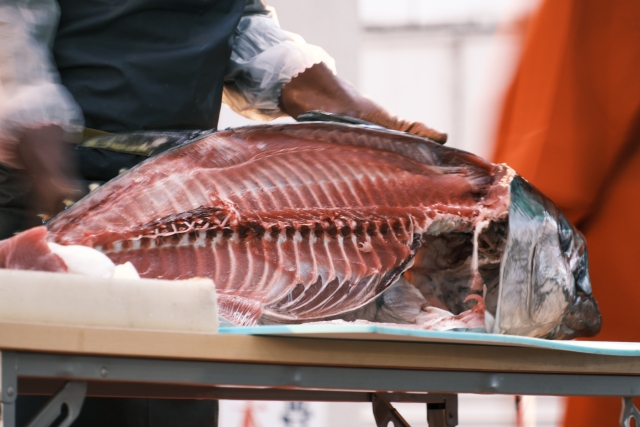 清水港マグロまつりにアクセス抜群のホテル5選