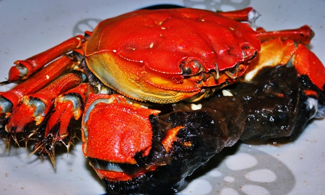 静岡県・河津町でモクズガニが食べられる宿2選